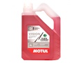 MOTUL Vision Black Currant -20°C - 4 л.